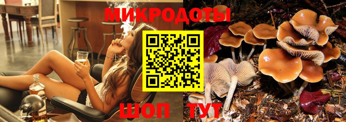 Галлюциногенные грибы MAGIC MUSHROOMS  Галлюциногенные грибы Psilocybe  Вход с VPN  Тулун 